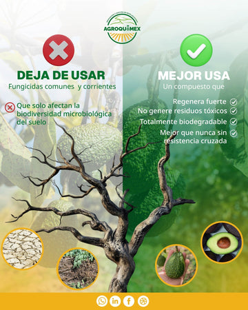 Cultivo orgánico: el éxito está en los detalles.
