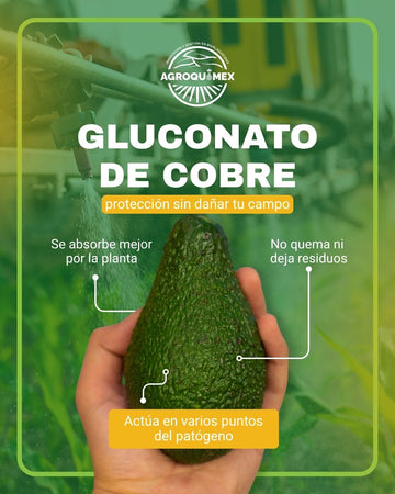 La evolución del cobre hacia una protección más sostenible y eficiente.